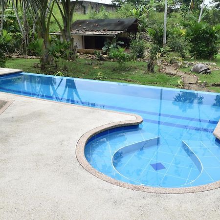 Wisdom Garden Hotel Tena Exterior foto