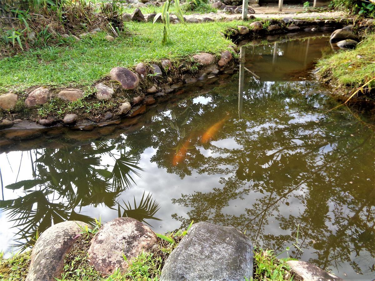 Wisdom Garden Hotel Tena Exterior foto